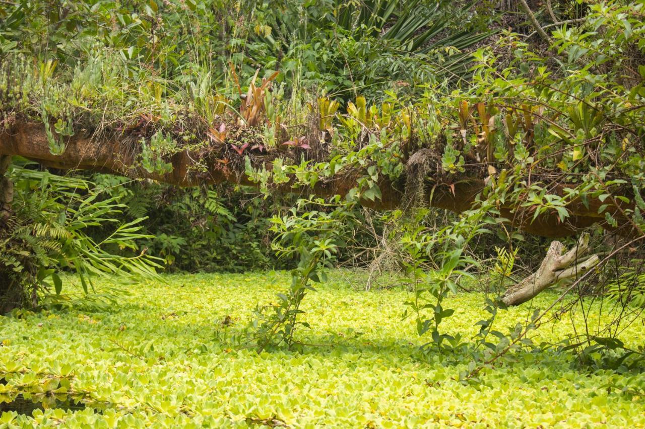 Pousada Flor De Acucena Igatu Buitenkant foto